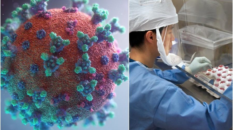 Koronavírus sa bude pravdepodobne vracať každý rok, tvrdia čínski vedci