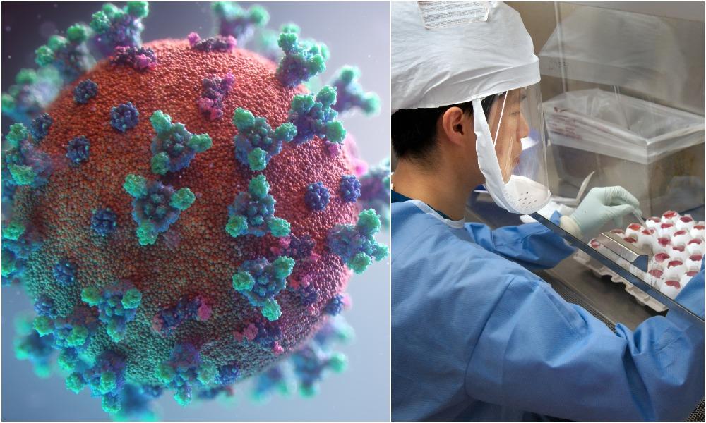 Koronavírus sa bude pravdepodobne vracať každý rok, tvrdia čínski vedci