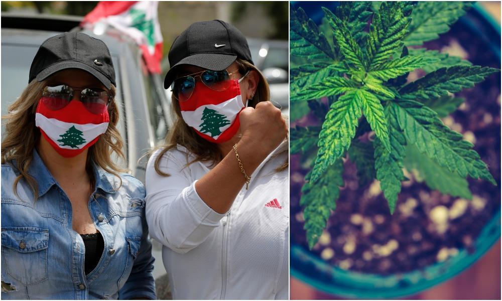 Libanon zlegalizoval pestovanie marihuany na vedecké účely