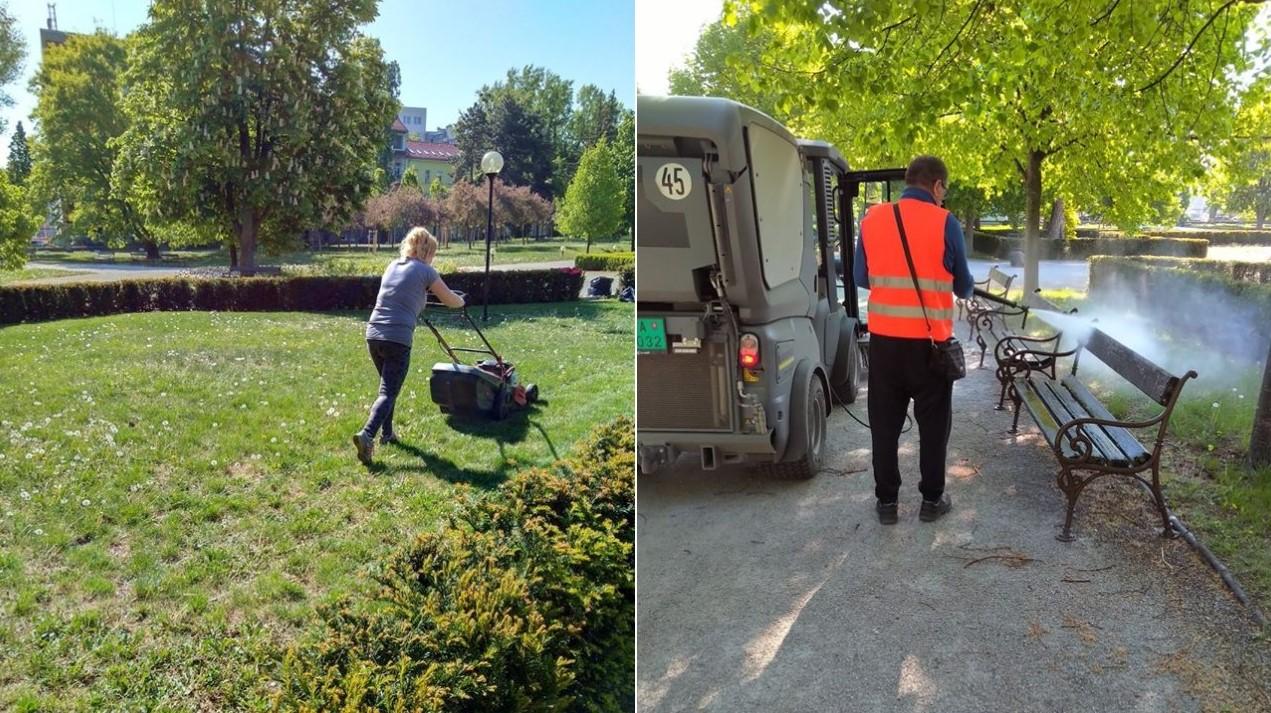 staré mesto bratislava