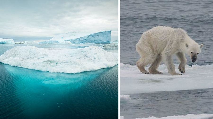 Severný pól bude bez letnej ľadovej pokrývky pred rokom 2050