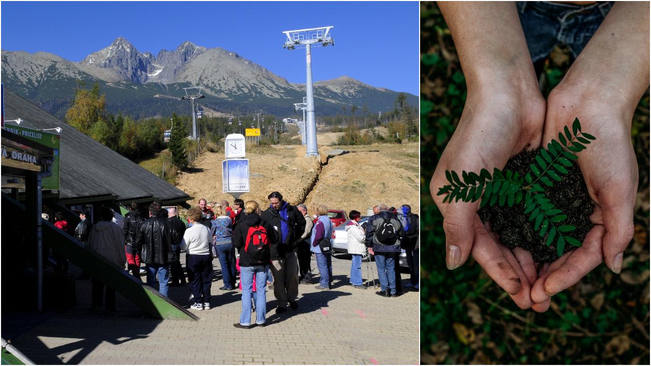 TMR – sadenie stromov