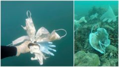 Ochranné rúška skončili