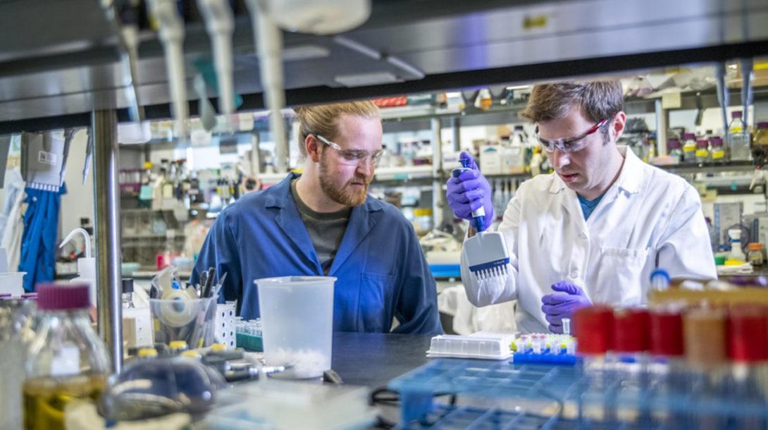 na snimke je sav, perun