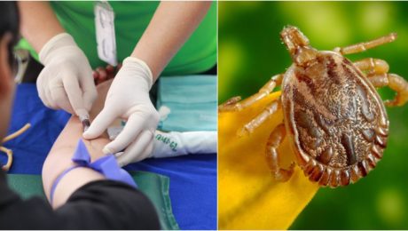 Obrovský úspech. Českí