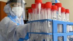 koronavírus, testy, laboratórium, skúmavky, vzorky