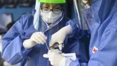 testy na koronavírus