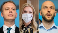 Celá bakalárska práca