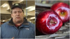 Slováci sú presvedčení,