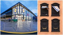 Obrovský krok vpred!