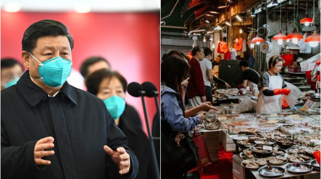 pjimage-25-1-1090×610