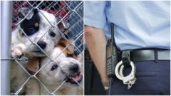 Slovenskí policajti, ktorí