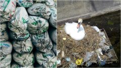 Katastrofa sa blíži: