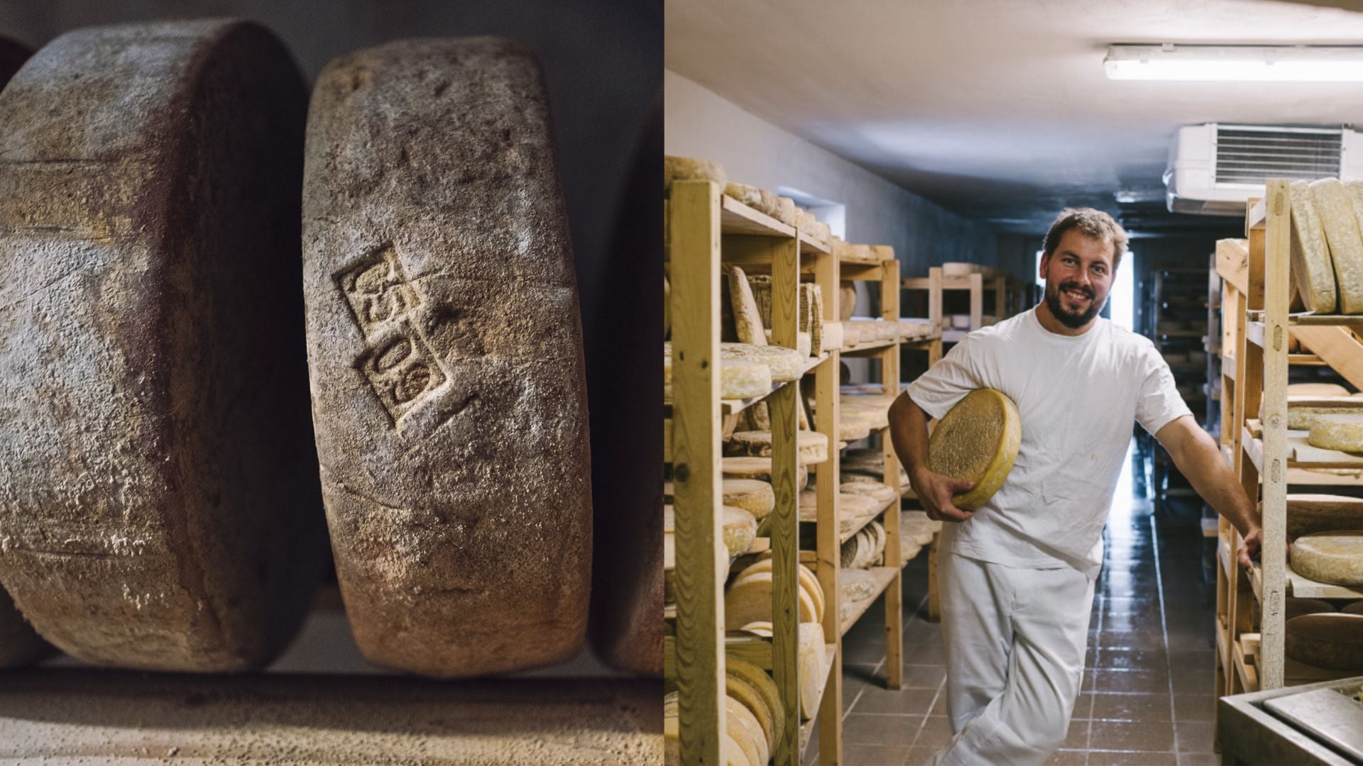 Syr Hiadlovec, Mliečna farma rodiny Hiadlovcov