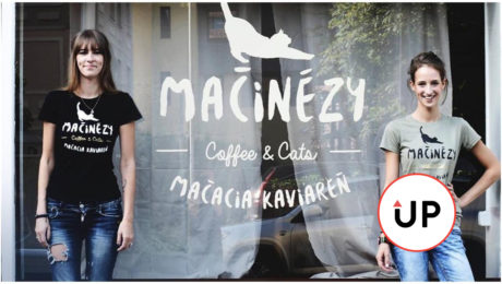 Milovníci mačiek smútia.