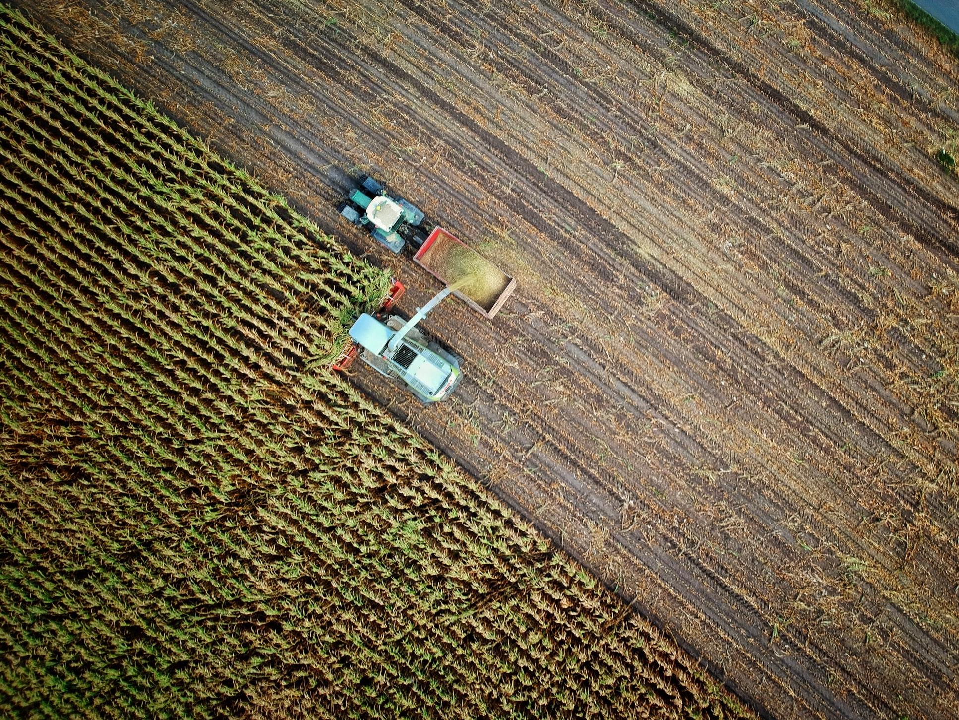 poľnohospodárstvo