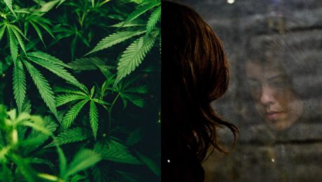 Kvet marihuany môže