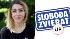 Kristína Devínska zo