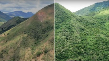 Neziskovka vysadila už