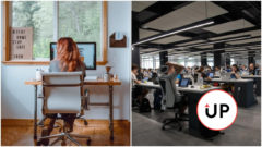 Dovidenia, kancelárie. Už