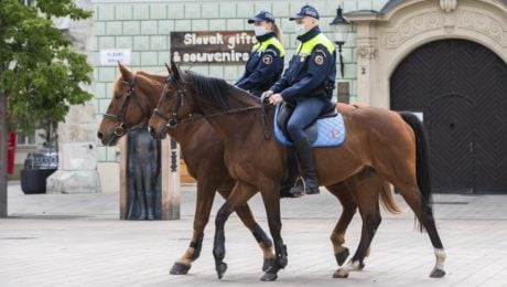mestská polícia Bratislava