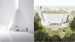 Pohlavári sa výžívali