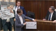 Top politické hlášky