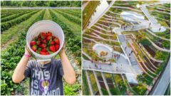 Univerzita vybudovala najväčšiu