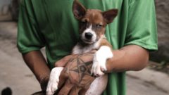 Slovensko predstavilo revolučnú