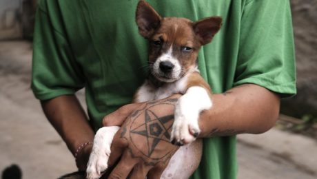 Slovensko predstavilo revolučnú