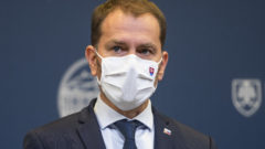 Politológ o prieskume