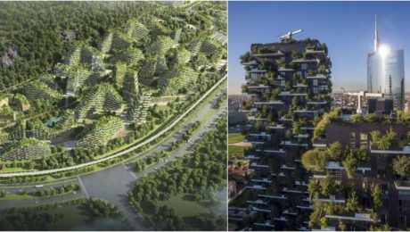 Vertical Forest Towers zelene stavby architektura stromy