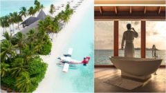 Dovolenky superboháčov: Delfíny