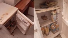 Chladnička, ktorú študentka našla po príchode