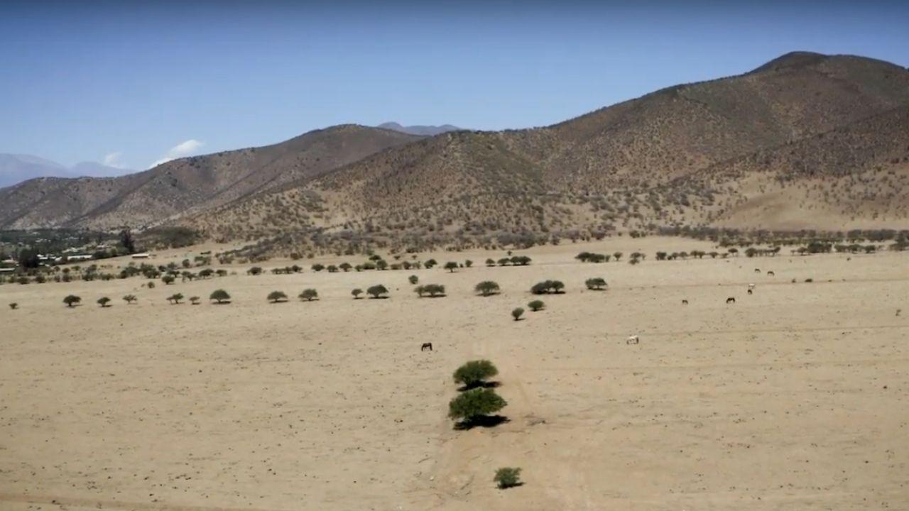 Monokultúra avokáda, Chile Petorca