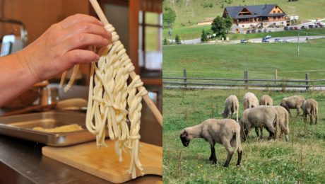 Korbáčiky vraj vznikli