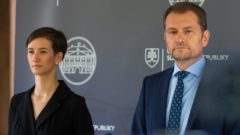 matovič tlmočníčka