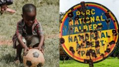 Alex počas pandémie