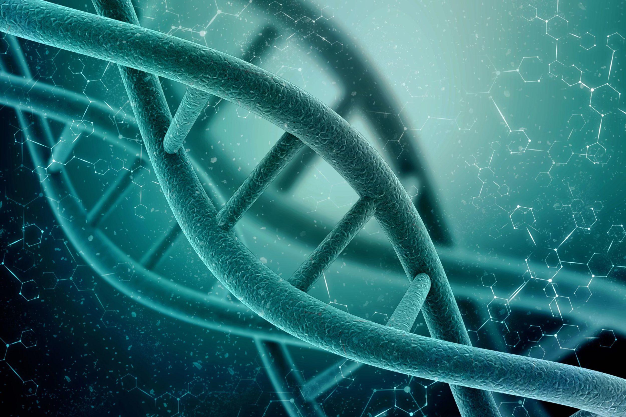 shutterstock_1136882729