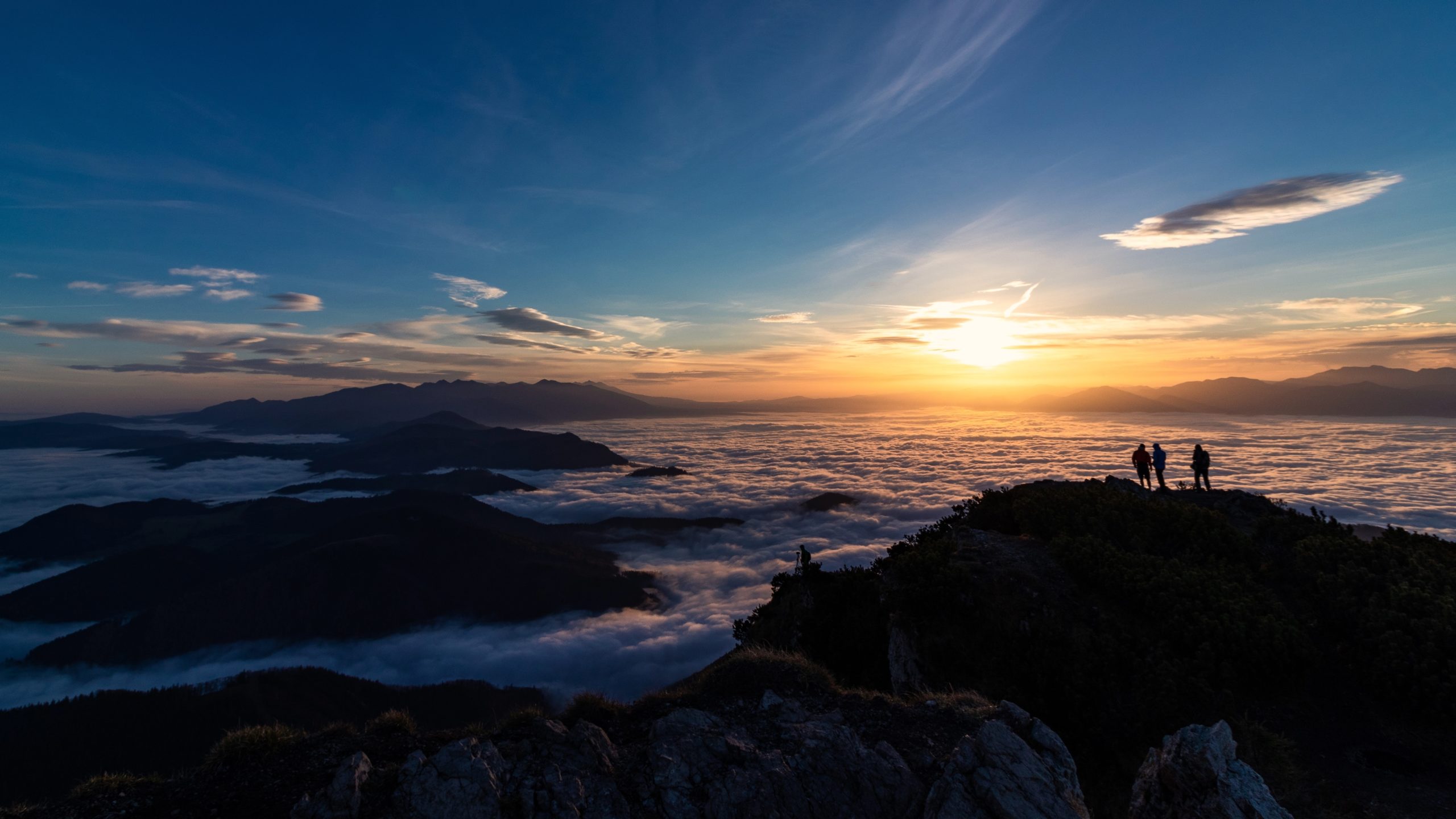 tomas-malik-tmhy4km0Pjc-unsplash