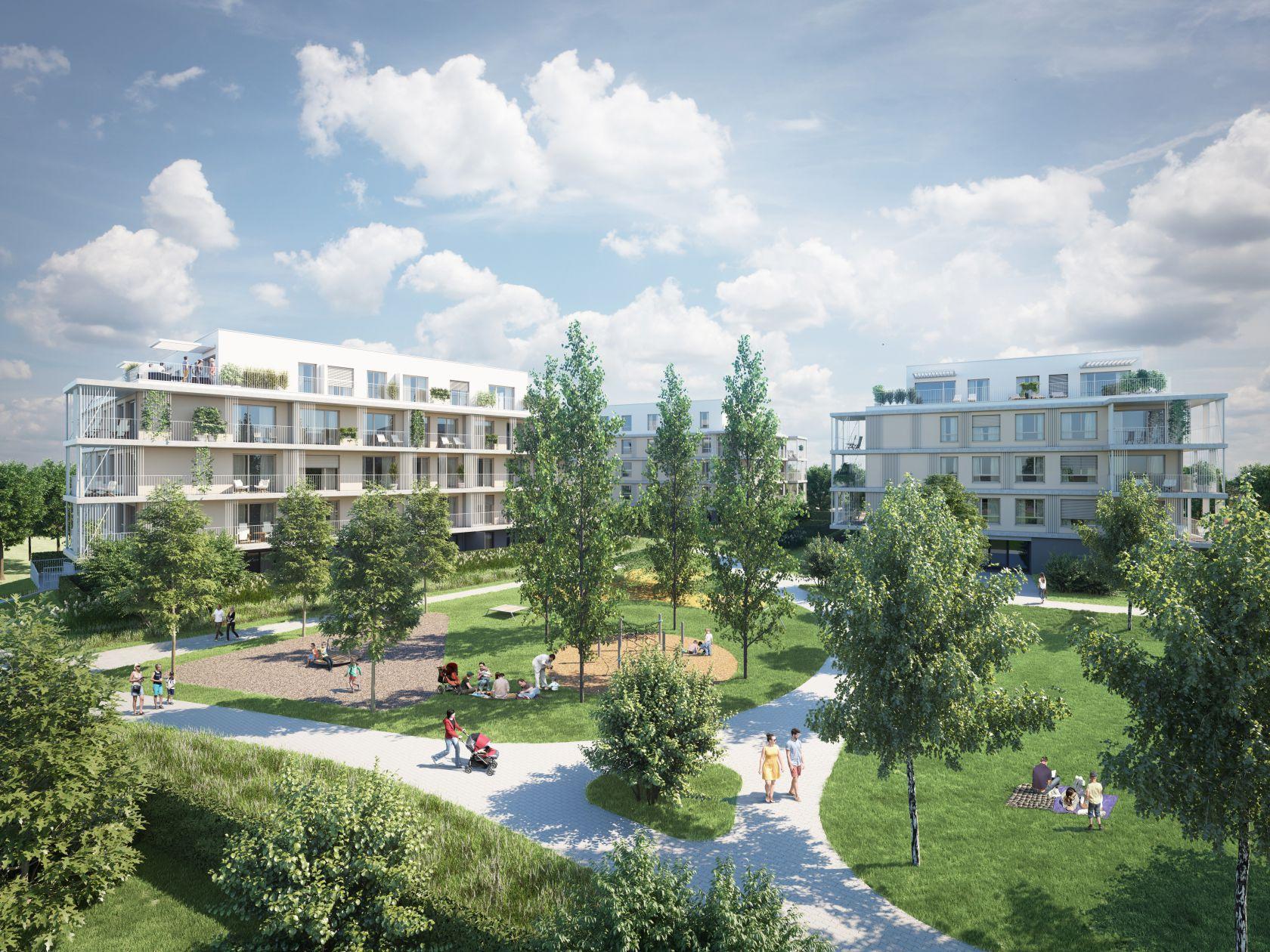 01-0060-b_a0a86cd10 01-0060-b_a0a86cd10