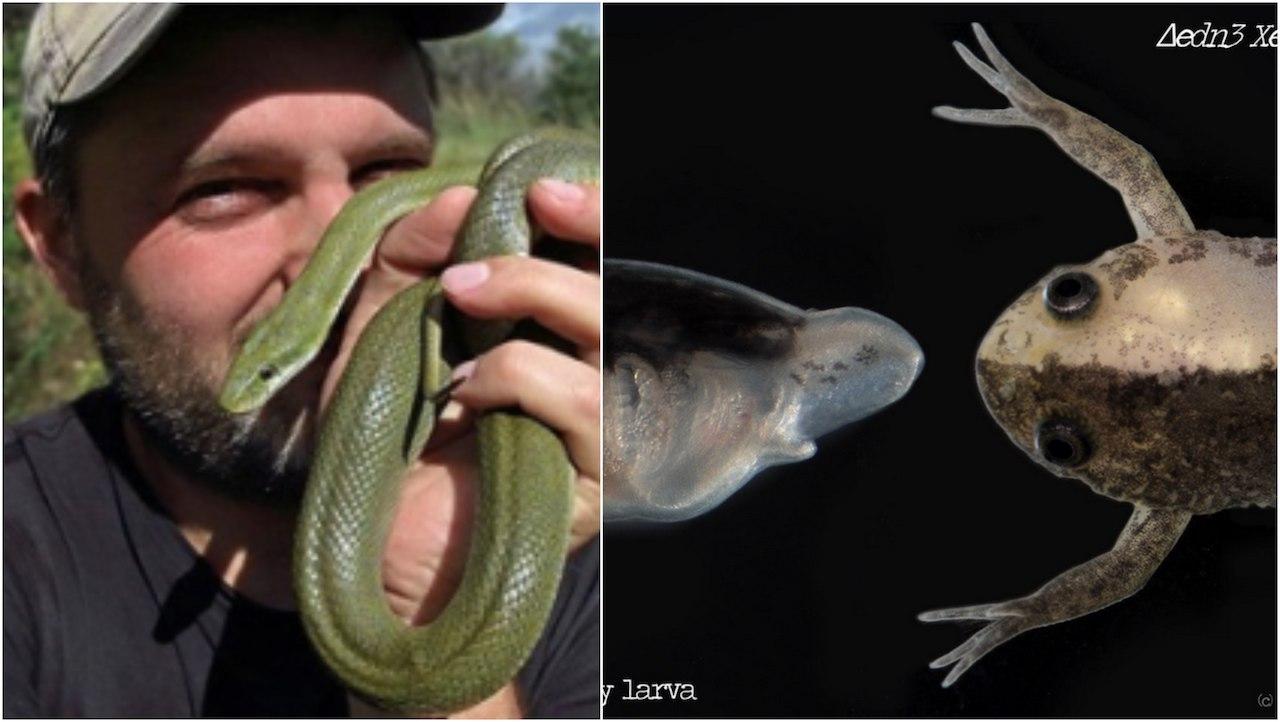 BeFunky-collage – 2020-10-07T122829.280