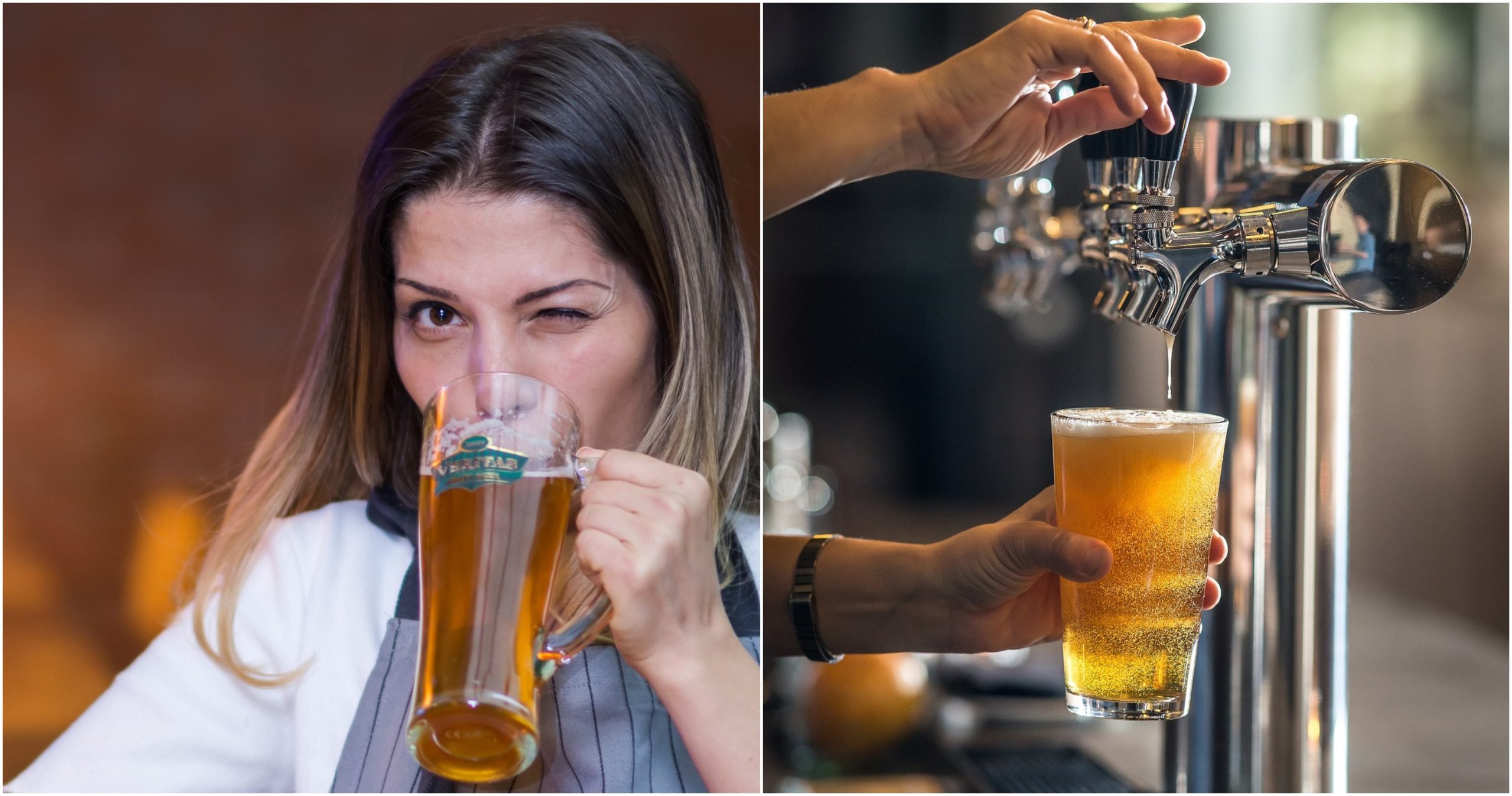 pivo, krčma, čapované