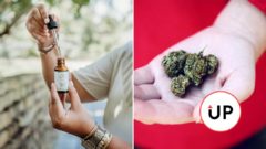 Užívať CBD môžu