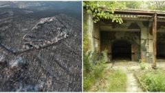 UNIKÁT: V Bratislave