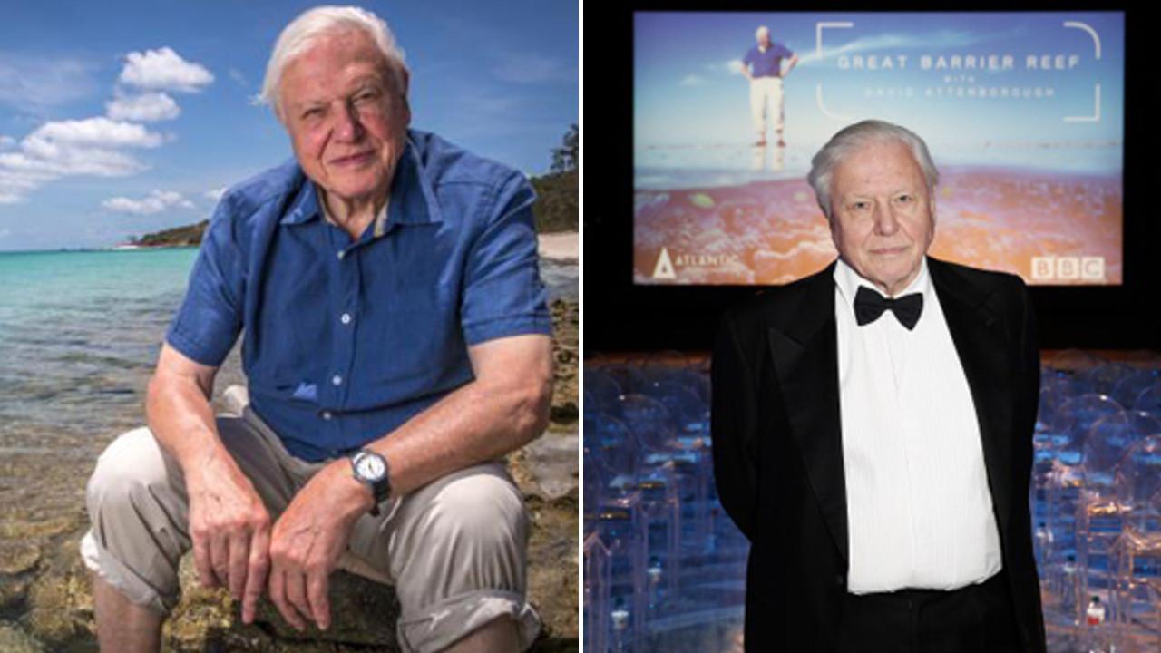 david attenborough