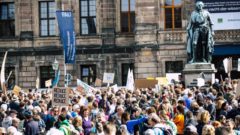 štúdia demokracia prieskum mileniáli