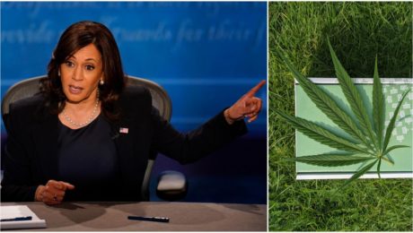 USA bude dekriminalizovať