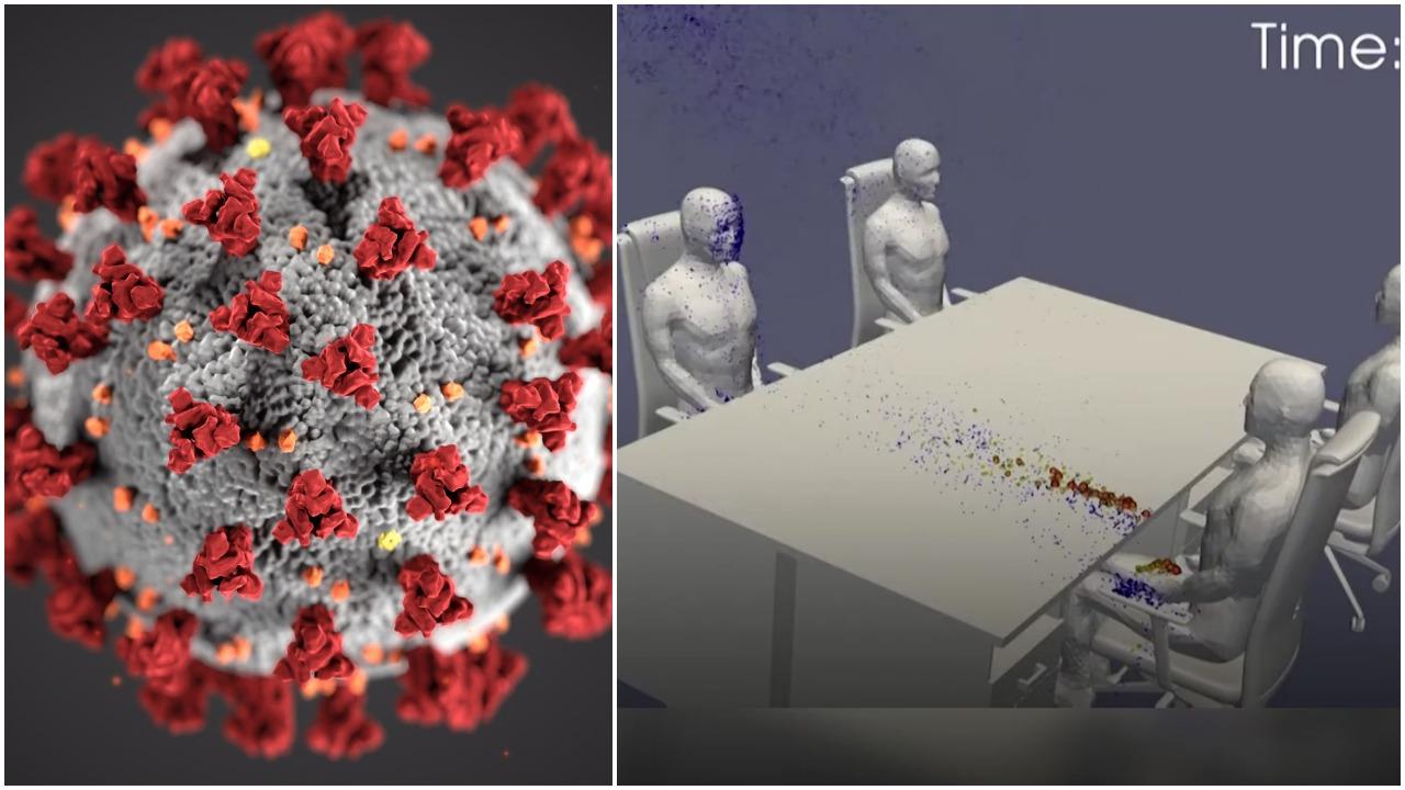 Koronavírus simulácia