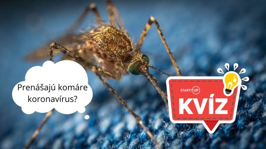 komár hoaxy covid Slovensko